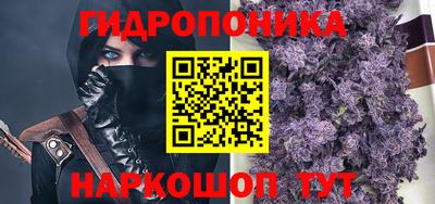 ГАЛЛЮЦИНОГЕННЫЕ ГРИБЫ Сланцы