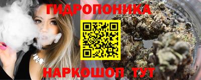 молекула духа Славянск-на-Кубани