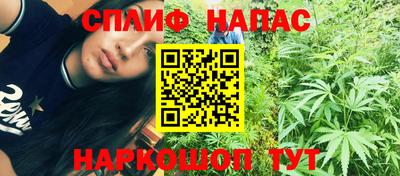 ГАЛЛЮЦИНОГЕННЫЕ ГРИБЫ Сланцы
