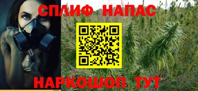 прущие грибы Славгород