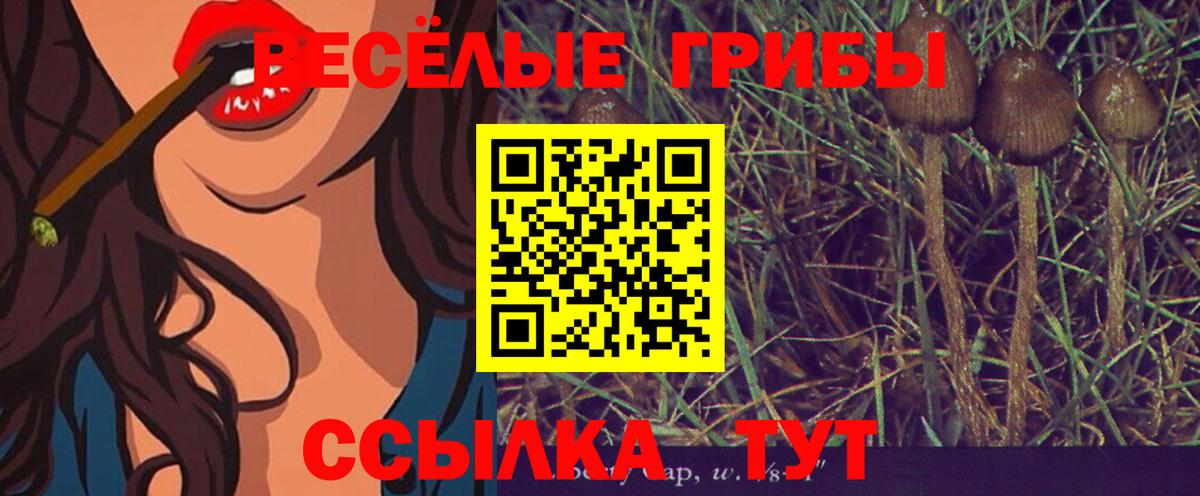 Псилоцибиновые грибы мухоморы  Вход с VPN  Шахты 