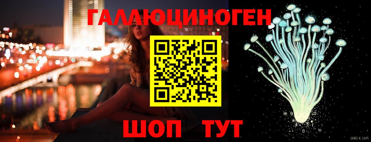 Галлюциногенные грибы Cubensis Шахты